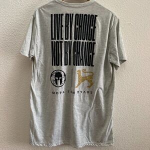 Spartan 2023 Season Pass Gear T-Shirt Light Gray Short Sleeve Craft XL